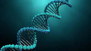 DNA Strand